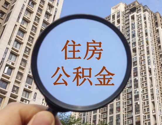 曹县退休后查不到公积金明细了吗（退休后公积金查询不到原因）